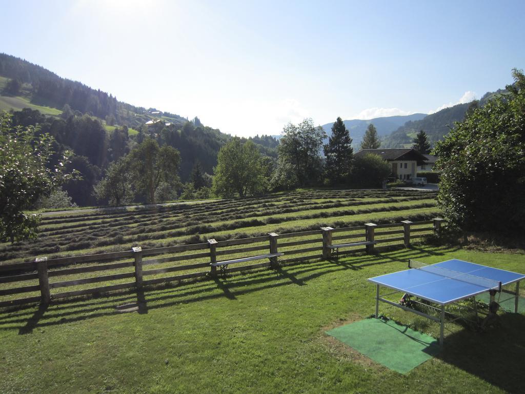 Apart-Pension Seiwald Wagrain Dış mekan fotoğraf